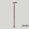 WALKING STICK brown -