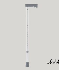 walking stick silver